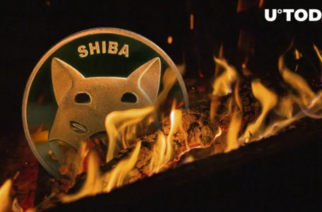Millions of Shiba Inu (SHIB) Burned in Last 24 Hours as This Metric Also Spikes