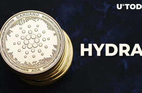 Cardano Hydra Solution Prepares for Mainnet Beta Release: Details