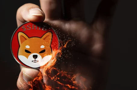 Shiba Inu (SHIB) Starts Week With Massive 1,100% Burn Rate Spike