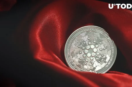 Cardano (ADA) Liquidation Data Shows Bullish Interest Is Waning, Here’s How