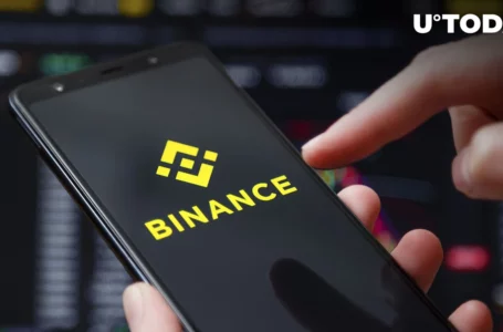 Binance Sees Limited $218 Million Outflows in Hours: Details