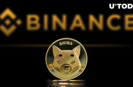 86 Trillion Shiba Inu (SHIB) Held in Binance’s Publicly Disclosed Wallets: Details