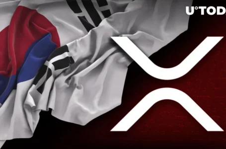 XRP Price Skyrockets Against KRW as Korean XRP Whale Withdraws Millions From Upbit