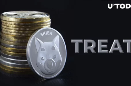 Shiba Inu (SHIB) Community Urged to Beware of TREAT Scam Tokens