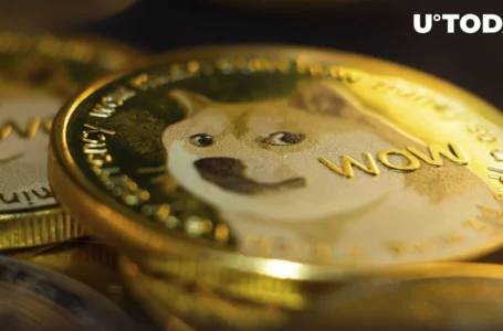 350 Million Dogecoin Purchased as DOGE Price Drops, Offering Chance to Buy Dip