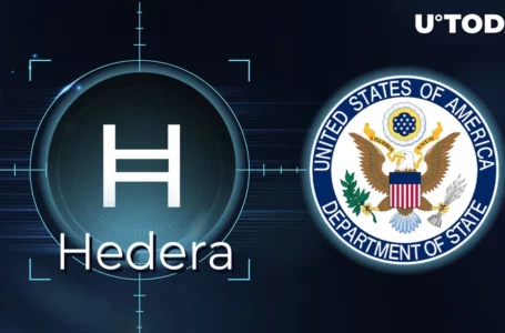 Hedera (HBAR) Recognized by US Government for Role in Human Rights: Details