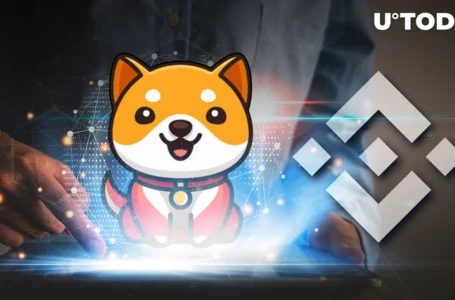 Baby Doge Coin (BabyDoge) Hints at New Top 10 Exchange Listing, Could It Be Binance?