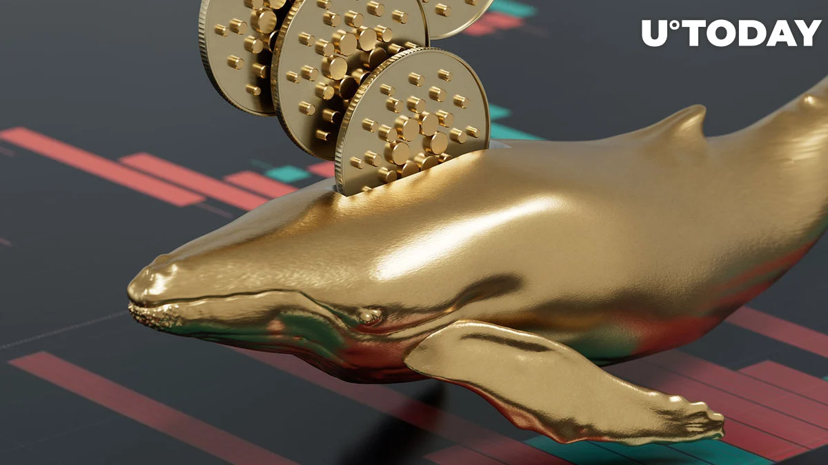 Cardano