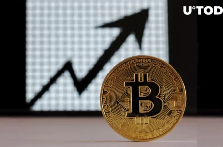 Is History Repeating Itself? Bitcoin’s 3-Month Winning Streak Hints at Massive Gains