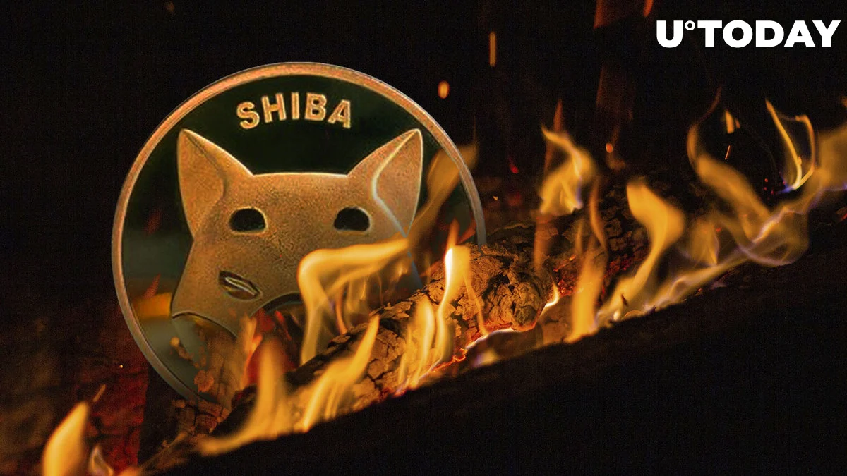 Shiba Inu