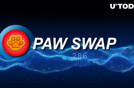 Shibarium-Oriented PawSwap Dex to Integrate 7 Chains, Here They Are