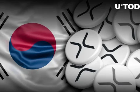 XRP Price Peaks Against KRW, Dominance on Korean Exchanges at Turning Point