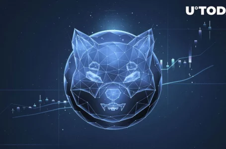 Shiba Inu (SHIB) Saw 700% Increase in Transactions Number: What’s Happening?