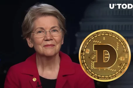 DOGE Co-Founder Slams Senator Warren for Building ‘Anti-Crypto Army’