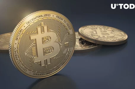 Bitcoin (BTC) Indicator Hints at 2019 Bottom Scenario: Details