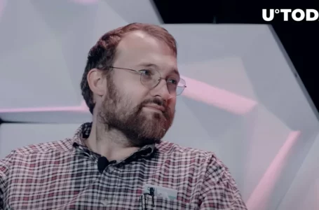 Cardano (ADA): Charles Hoskinson Excited at DeFi Inflows into Ecosystem
