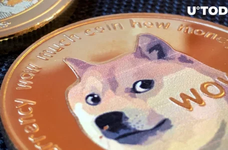 235.4 Million Dogecoin Moved by Top-20 DOGE Whales as Elon Musk Made His Crypto Statement