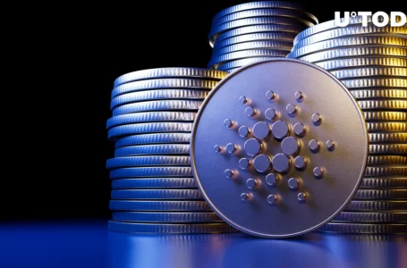 Cardano Founder Rebukes EU Politician for Comparing Crypto to Drugs due to Banking Crisis