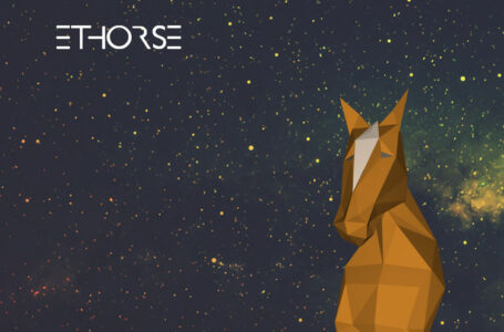 Ethorse Crypto Review: Everything You Need To Know