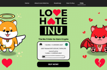 Love Hate Inu (LHINU) Crypto Review