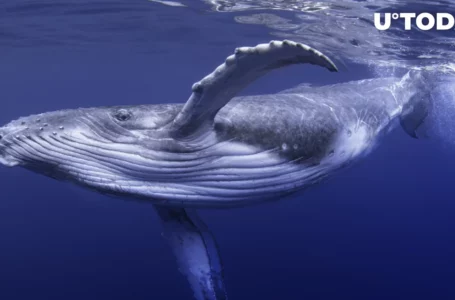 Satoshi-Era Bitcoin Mystery: Massive BTC Whale Address Activated