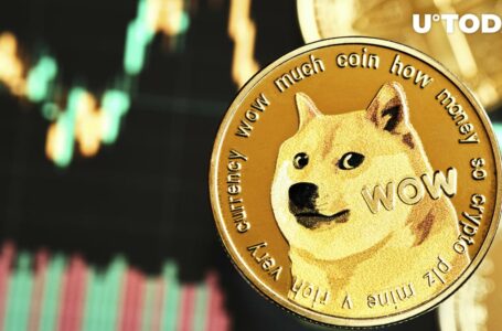 Is Dogecoin Untouchable? Board Member Weighs In on Regulatory Debate