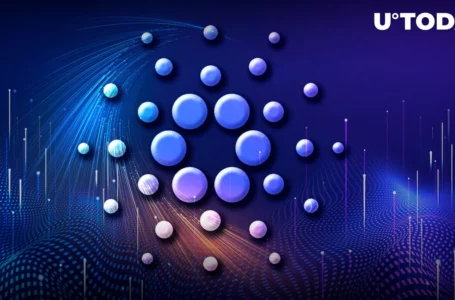 Big Game Coming to Cardano