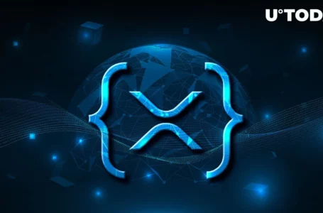 XRPL Accelerator Program Launches, Promising to Boost Blockchain Entrepreneurs
