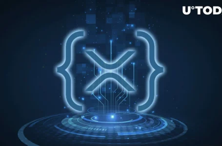 XRPL Developer Reports Unusual Traffic on Public XRPL Infrastructure: Details