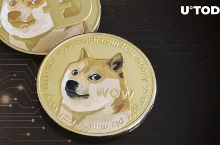 The Countdown Begins: Dogecoin Community Awaits Potential “Meme Pump”