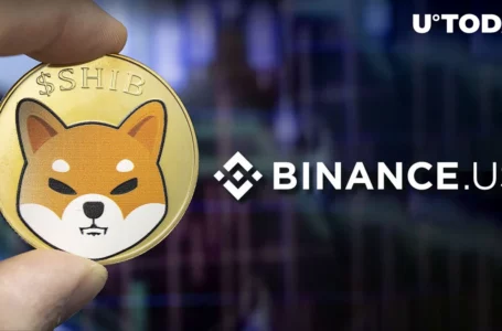 Shiba Inu: Binance.US Poll on SHIB Creator Sparks Interesting Community Response