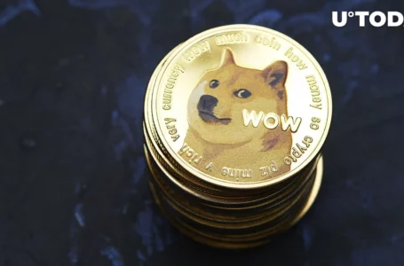 DOGE Co-Founder Reveals How Much Dogecoin He Owns