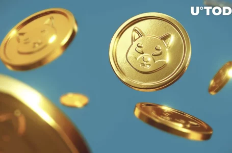 Shiba Inu Lead’s April Fools’ Shibarium Prank: SHIB Community Reacts