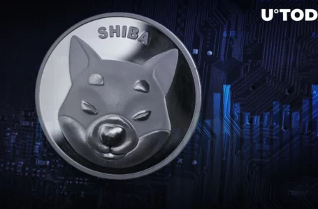 Shiba Inu Records Biggest Transaction Spike of Year as SHIB Price Breaks Out