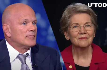 Crypto Mogul Novogratz to Sen. Warren: ‘Do You Think All of Us Believers Are Stupid?’