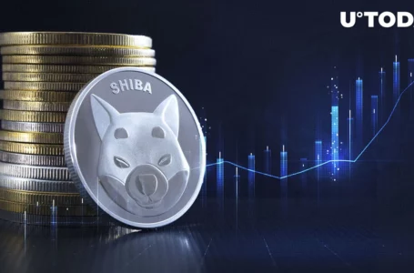 Shiba Inu (SHIB) Flashes 2 Key Signs Uptrend Is Underway: Details