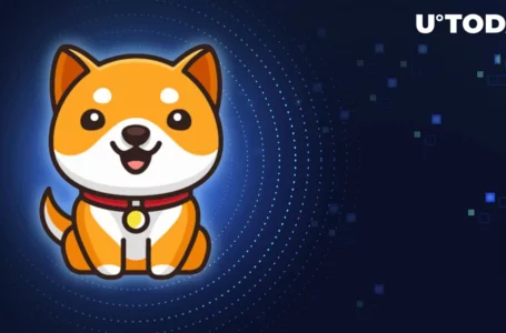 32 Trillion BabyDoge Giveaway to Follow Dogecoin (DOGE) Offshoot Listing on Major Exchange