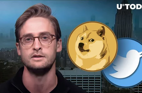 Dogecoin (DOGE) Tipped to Surpass Twitter, Top Analyst Wonders When