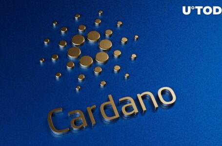 Cardano (ADA) Price Needs to Pass This Test to Trigger Bullish Rally