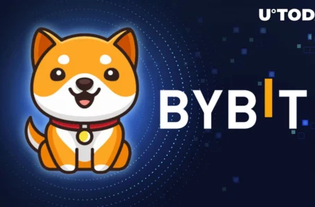 Baby Doge Coin (BabyDoge) Goes Live on Bybit Spot: Details