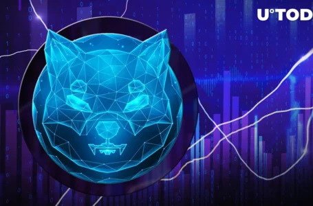 3.5 Trillion SHIB Moved as Abnormal Shiba Inu Transaction Spike Continues