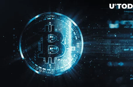 Bitcoin (BTC) Rare Metric Reaches Historic Turning Point: Details