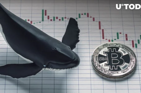 Half Billion USD in Bitcoin Moved By Anon Whale, Data Suggests Their Real Name