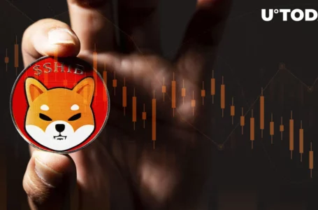 Shiba Inu (SHIB) TVL Plummets by 70%, Here’s Why It’s Concerning