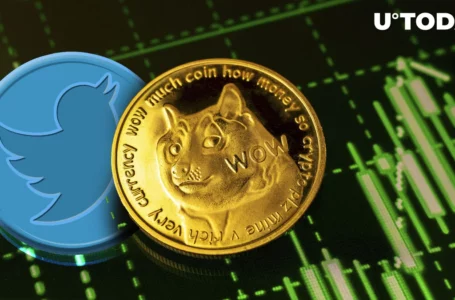 Dogecoin (DOGE) Price Slumps Amid Twitter Publicity, Here’s Why Hype Faded Fast
