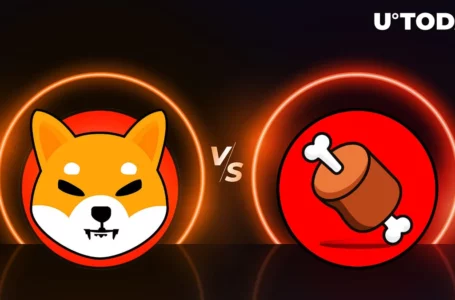 SHIB vs. BONE: New Shiba Inu Pair Now Available on Major Exchange