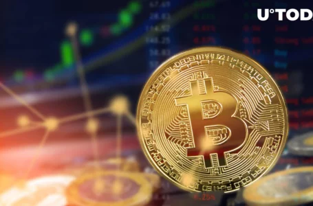 Bitcoin Might Go up to $31K or Drop Further to $25K, Analyst Paints BTC Price Outcomes