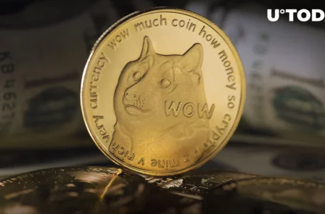 Dogecoin Creator: I Made $90 Billion in Cryptocurrency in Few Hours