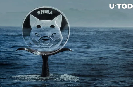 480 Billion SHIB Bought by Whale This Week After Grabbing Almost Trillion Shiba Inu in March