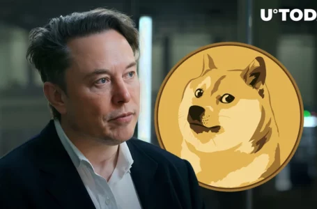 Elon Musk Might Be Linked to Two Largest Wallets Selling 1.4 Billion DOGE, Report Suggests
